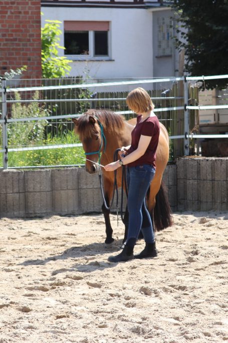 Pferdetraining mit Wunderkerze